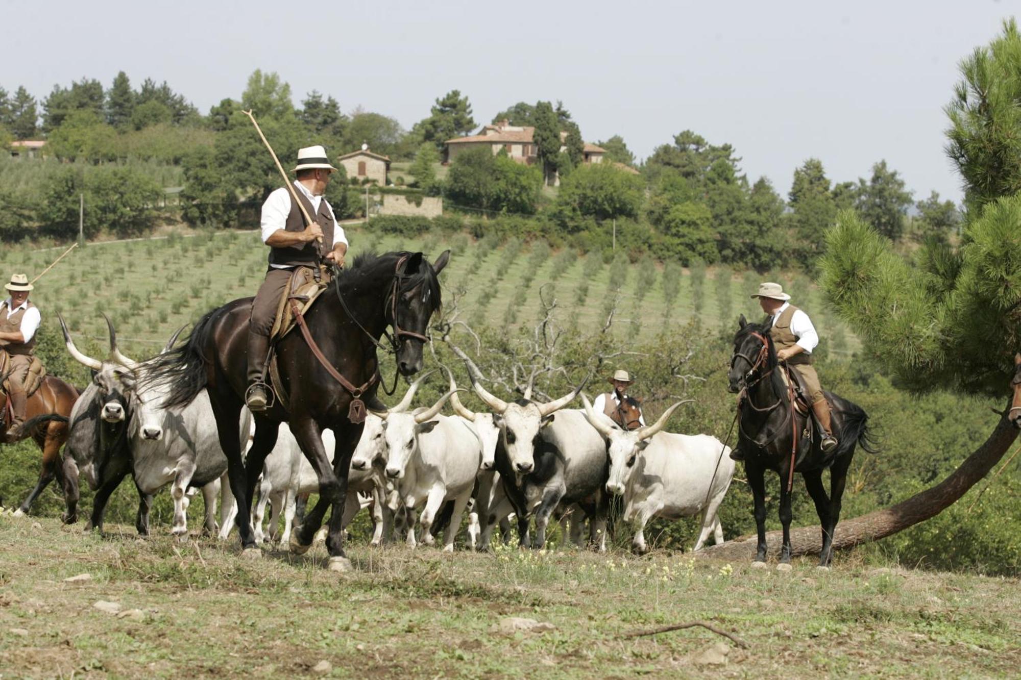 Agriturismo La Forra Кавриля Екстериор снимка